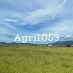 agri1059