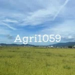 agri1059